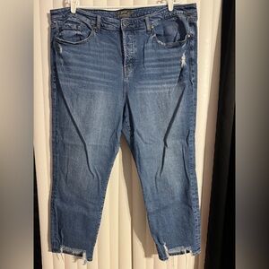 Torrid High Rise Cropped Straight Leg Jeans